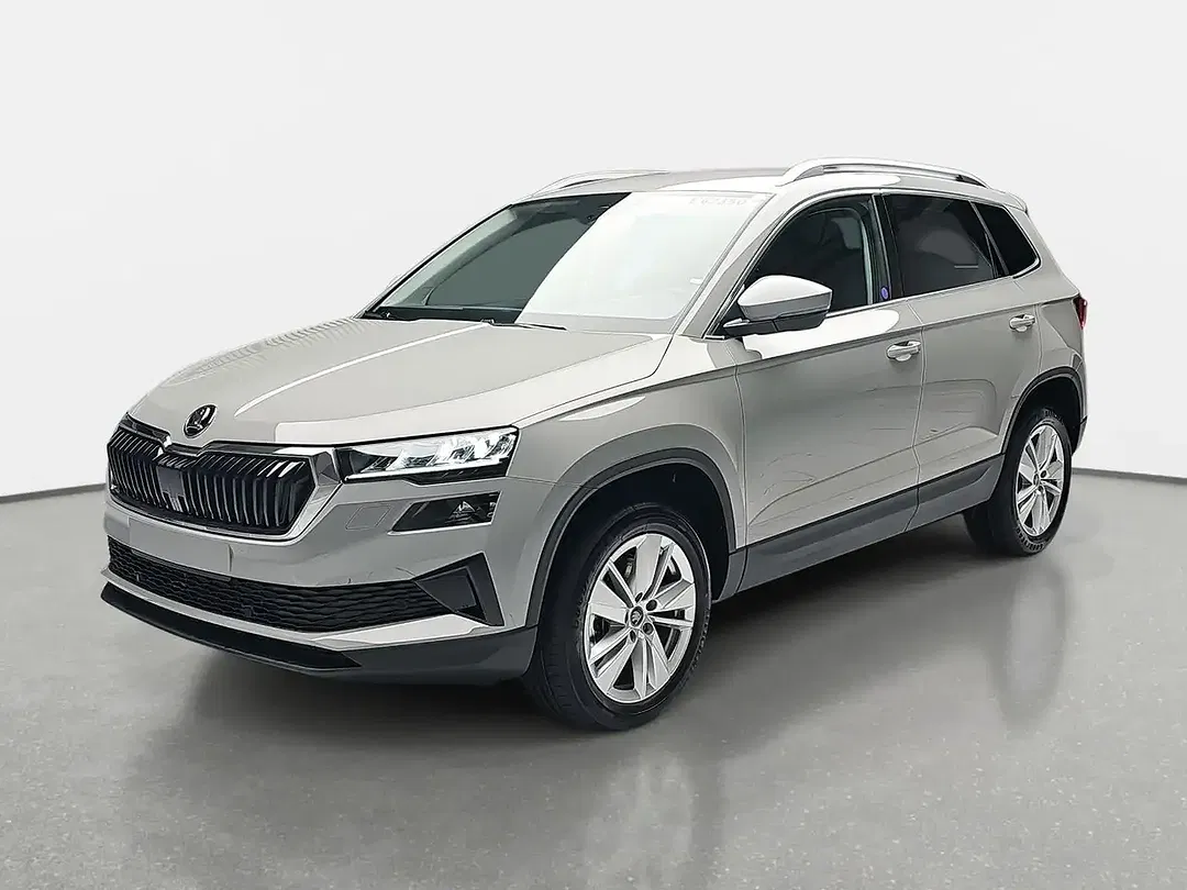 Skoda Karoq - Thumbnail 1