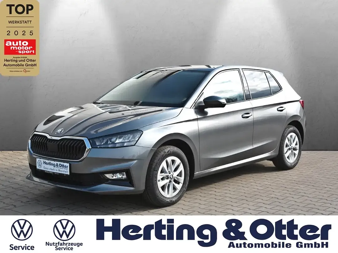 Skoda Fabia - Thumbnail 1