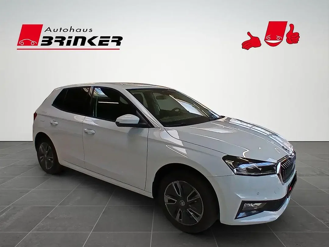 Skoda Fabia - Afbeelding 1