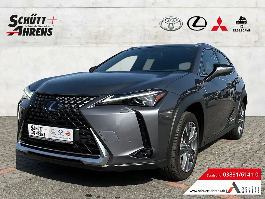 Lexus UX 300e - Afbeelding 1