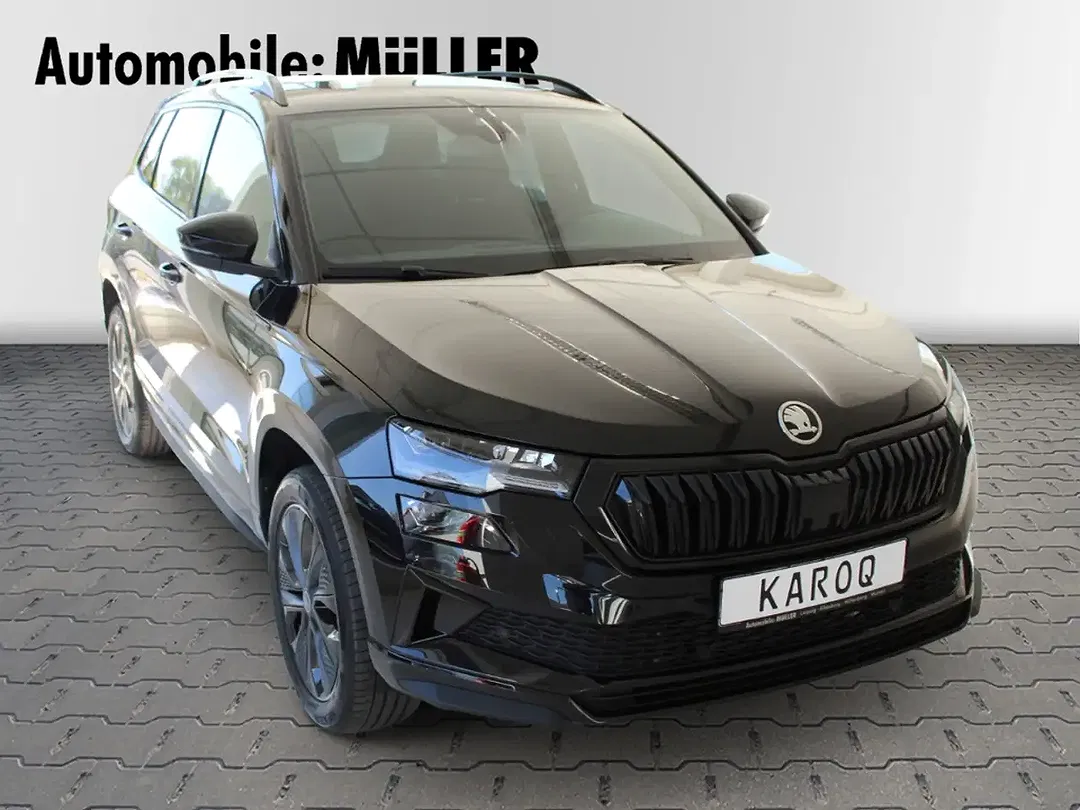 Skoda Karoq - Thumbnail 6