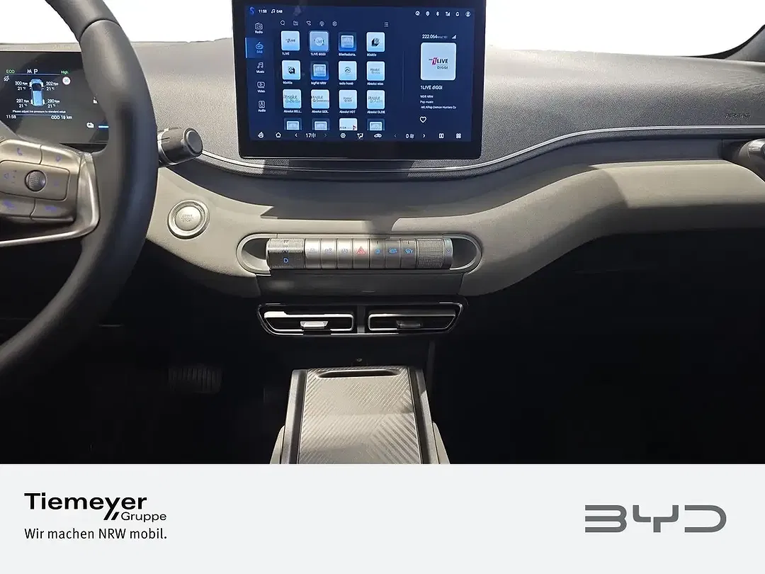BYD Dolphin Surf - Thumbnail 13