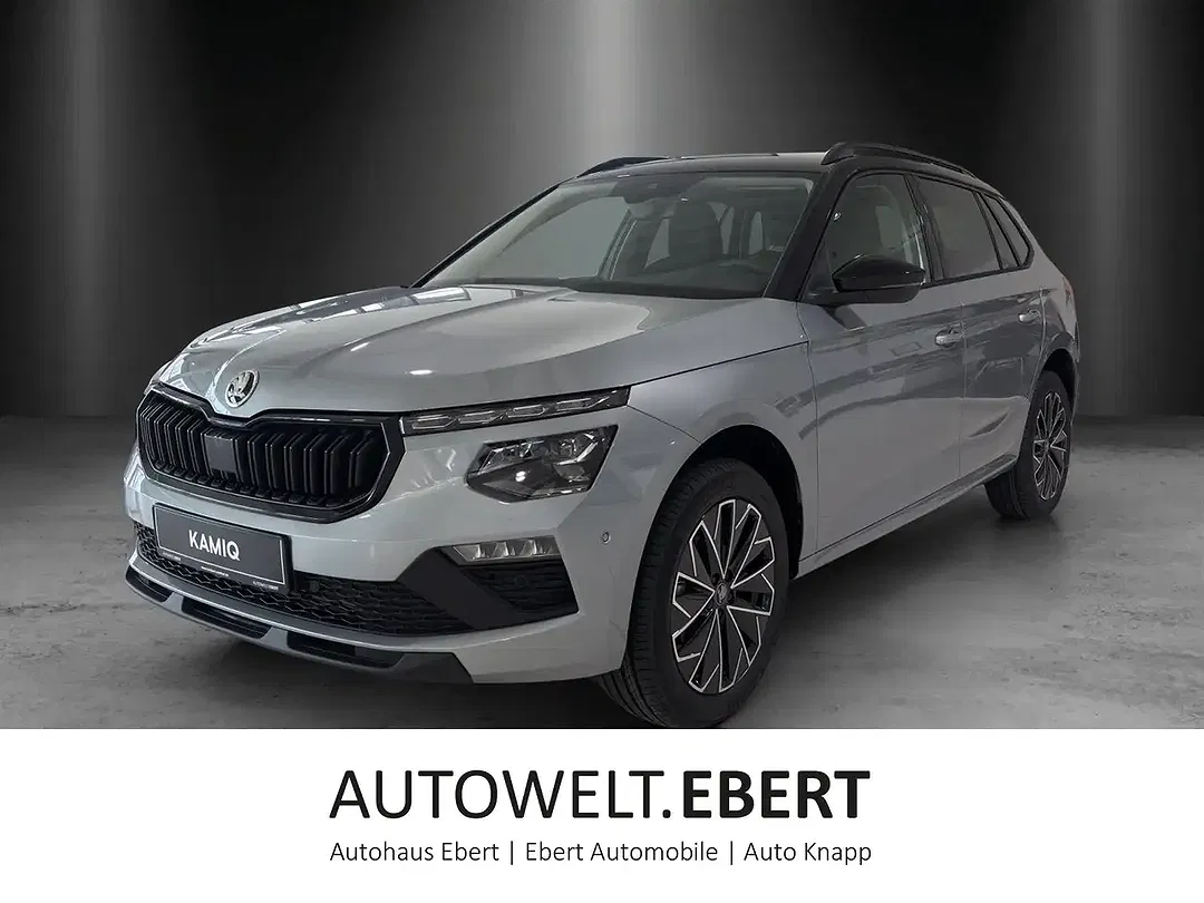 Skoda Kamiq - Thumbnail 1