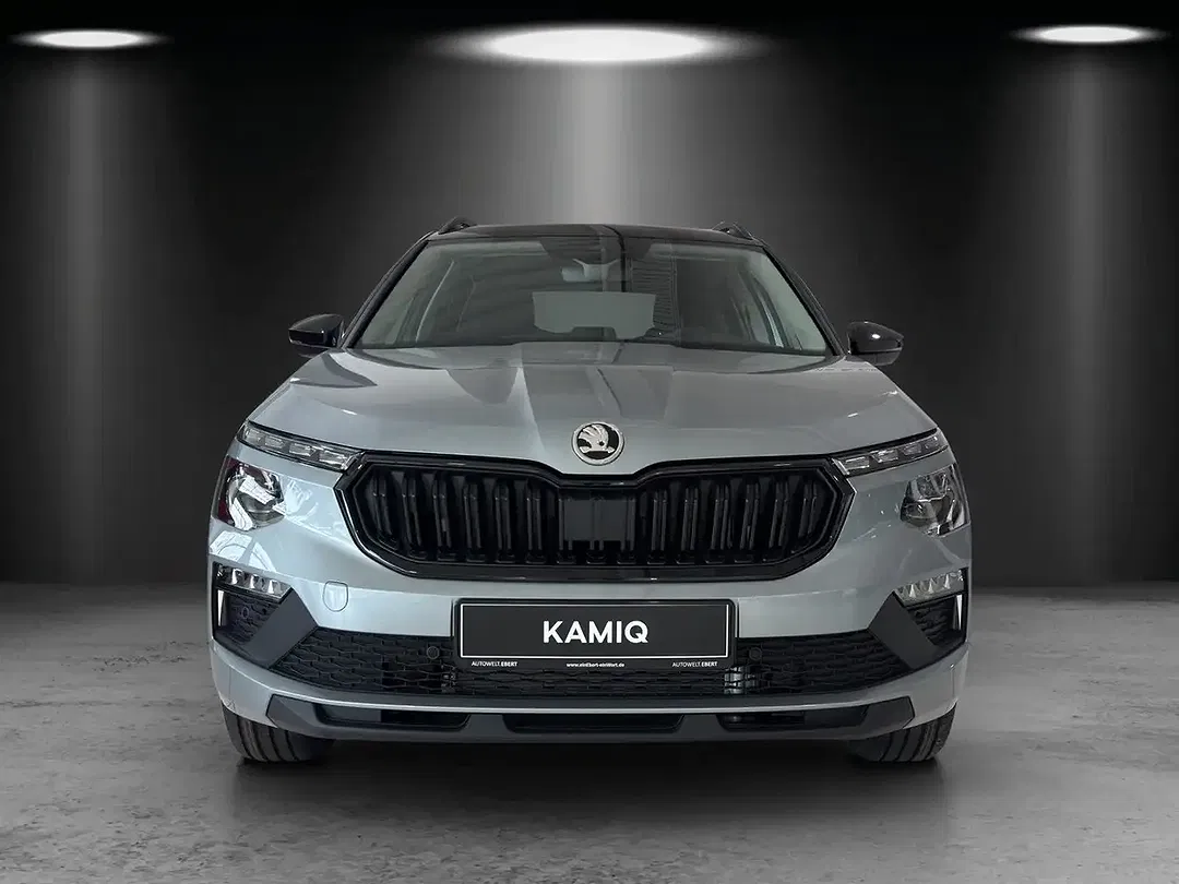 Skoda Kamiq - Thumbnail 6
