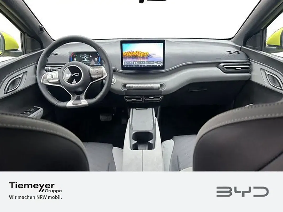 BYD Dolphin Surf - Thumbnail 12