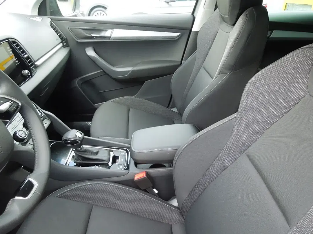 Skoda Karoq - Thumbnail 10