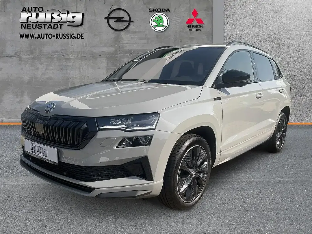 Skoda Karoq - Thumbnail 1
