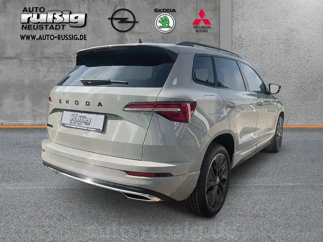Skoda Karoq - Thumbnail 2