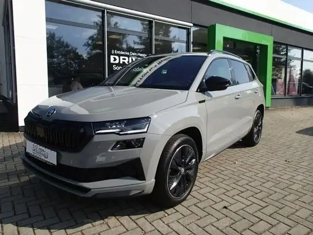 Skoda Karoq - Thumbnail 3