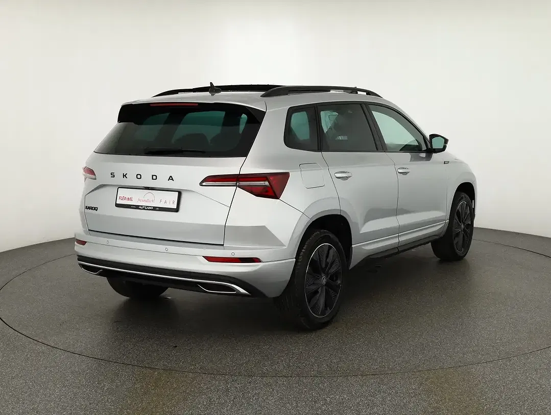 Skoda Karoq - Thumbnail 4