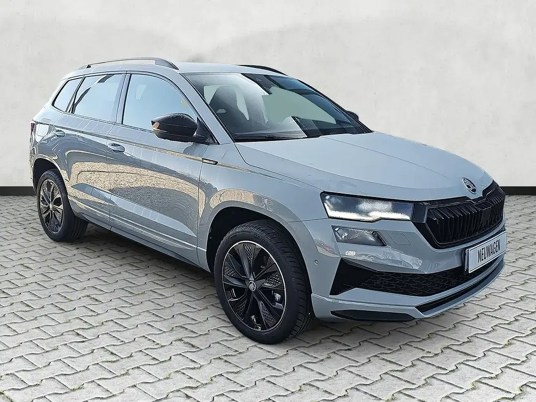 Skoda Karoq - Thumbnail 15