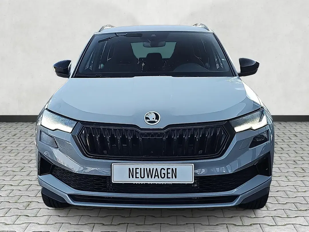 Skoda Karoq - Thumbnail 16