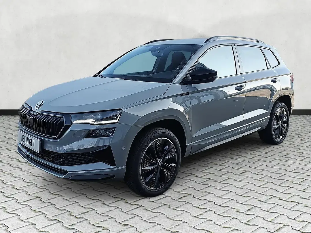 Skoda Karoq - Thumbnail 3