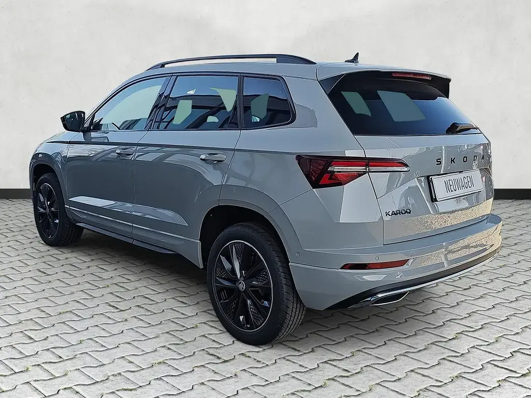 Skoda Karoq - Thumbnail 5