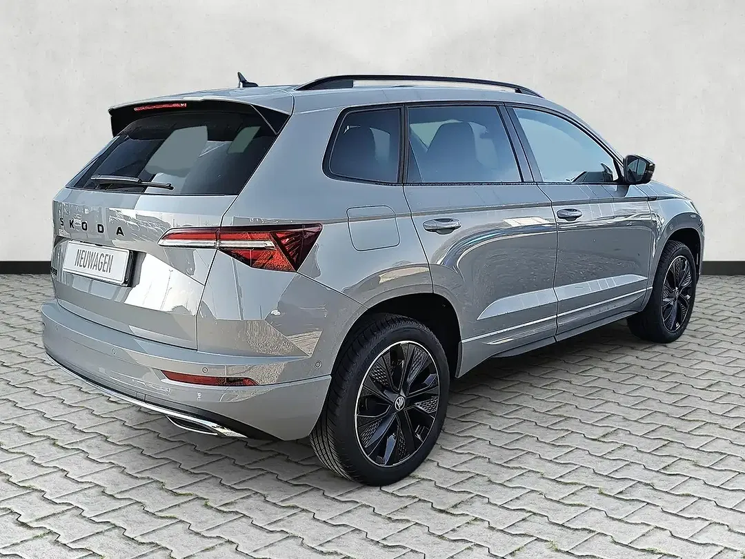 Skoda Karoq - Thumbnail 7