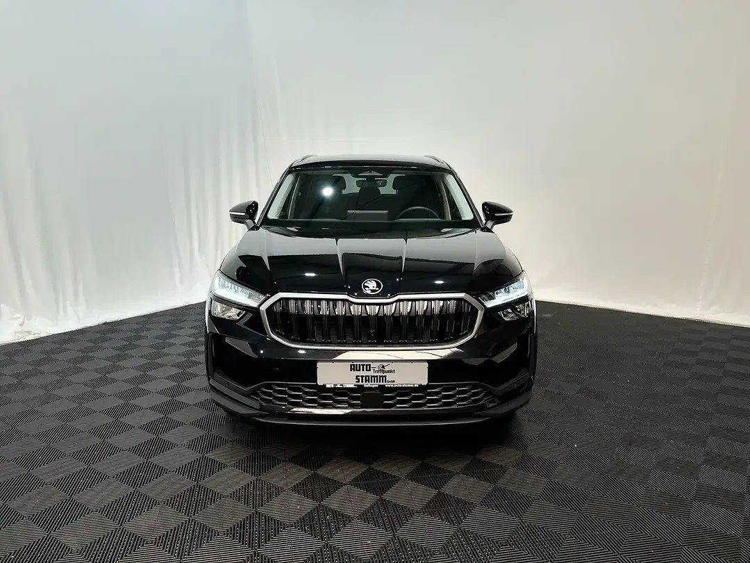 Skoda Kodiaq - Thumbnail 3
