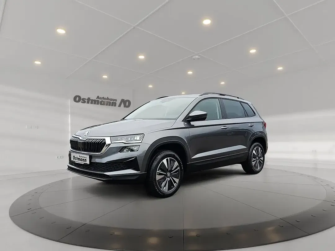 Skoda Karoq - Thumbnail 1