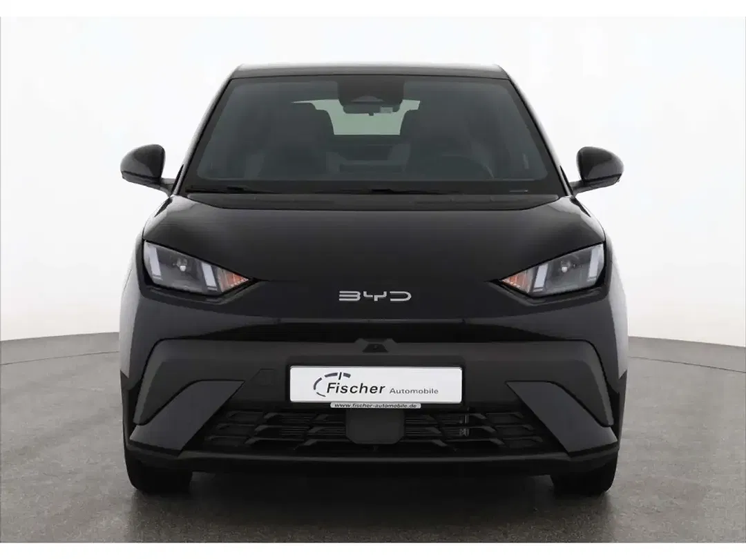 BYD Dolphin - Thumbnail 2