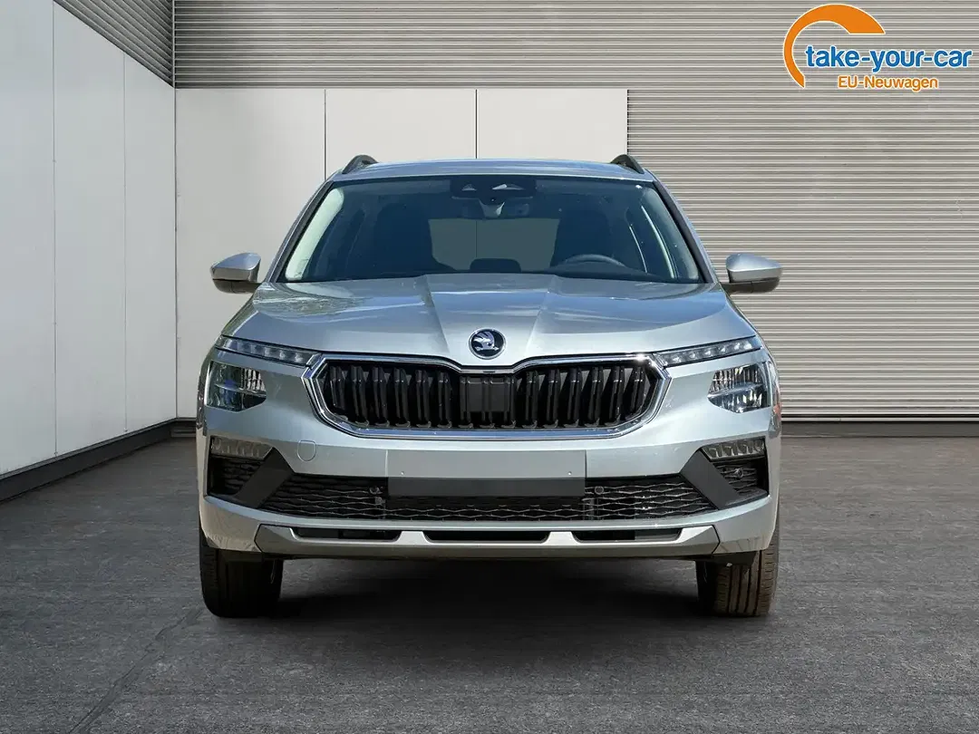 Skoda Kamiq - Thumbnail 6
