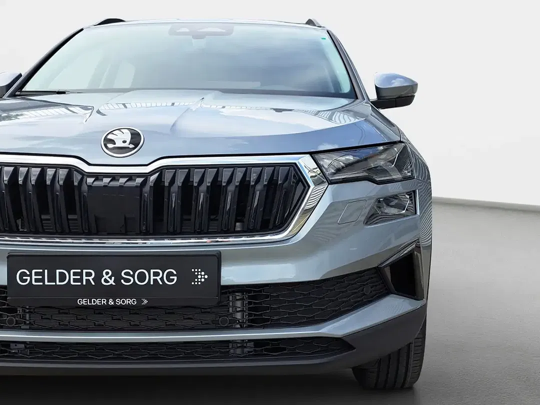 Skoda Karoq - Thumbnail 11