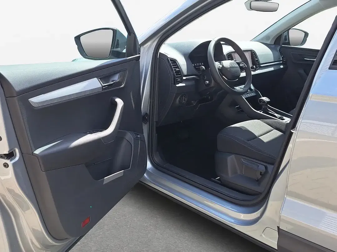 Skoda Karoq - Thumbnail 13
