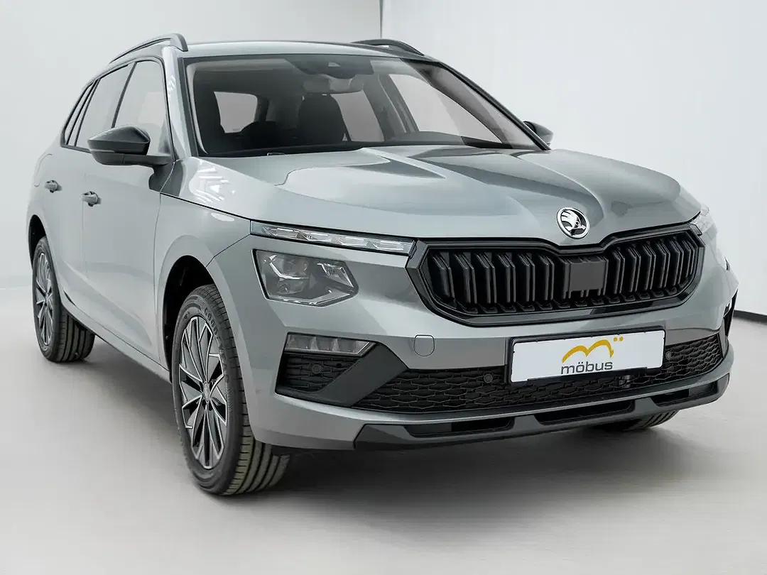 Skoda Kamiq - Thumbnail 3