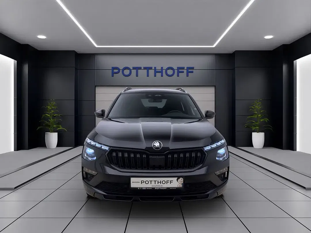 Skoda Kamiq - Thumbnail 8