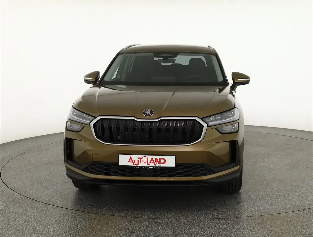 Skoda Kodiaq - Thumbnail 7