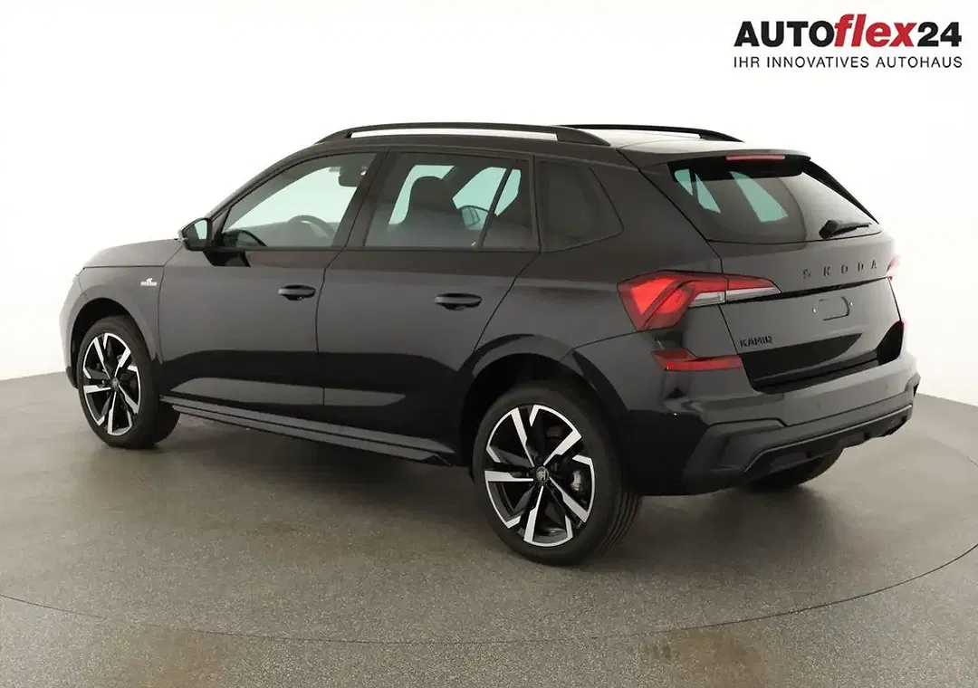 Skoda Kamiq - Thumbnail 3