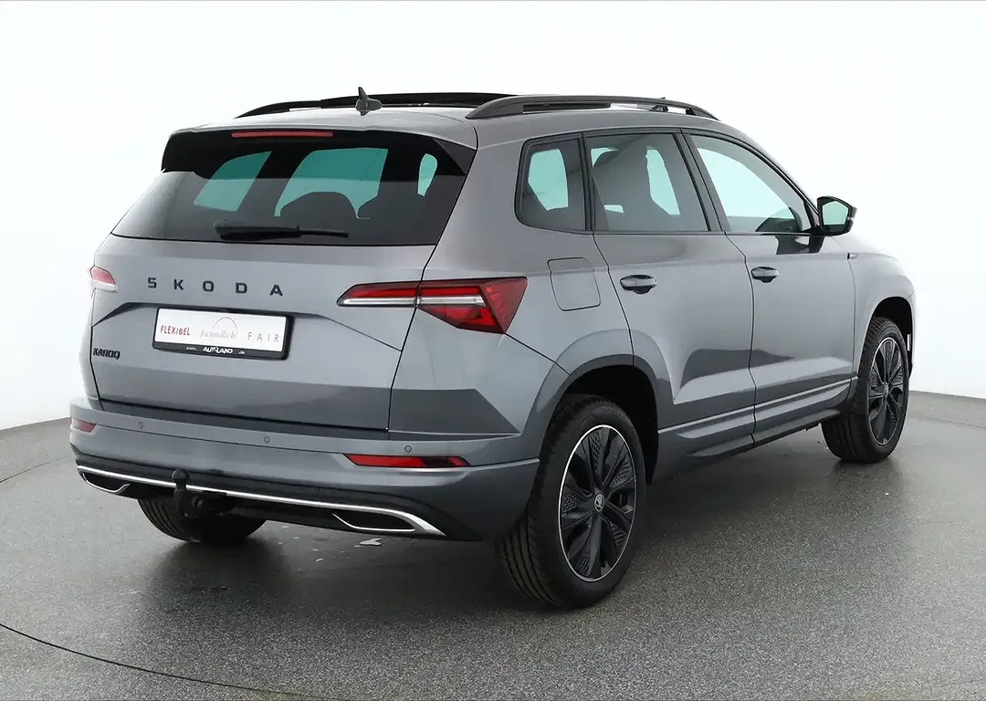 Skoda Karoq - Thumbnail 4
