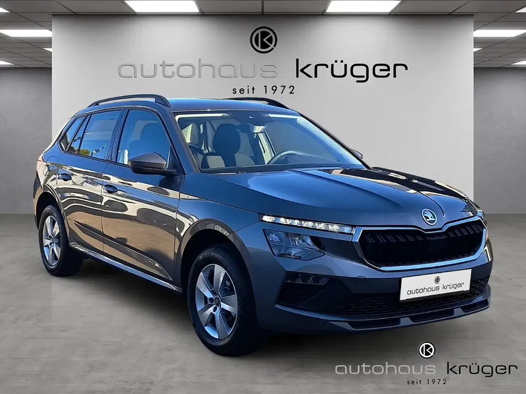 Skoda Kamiq - Thumbnail 8