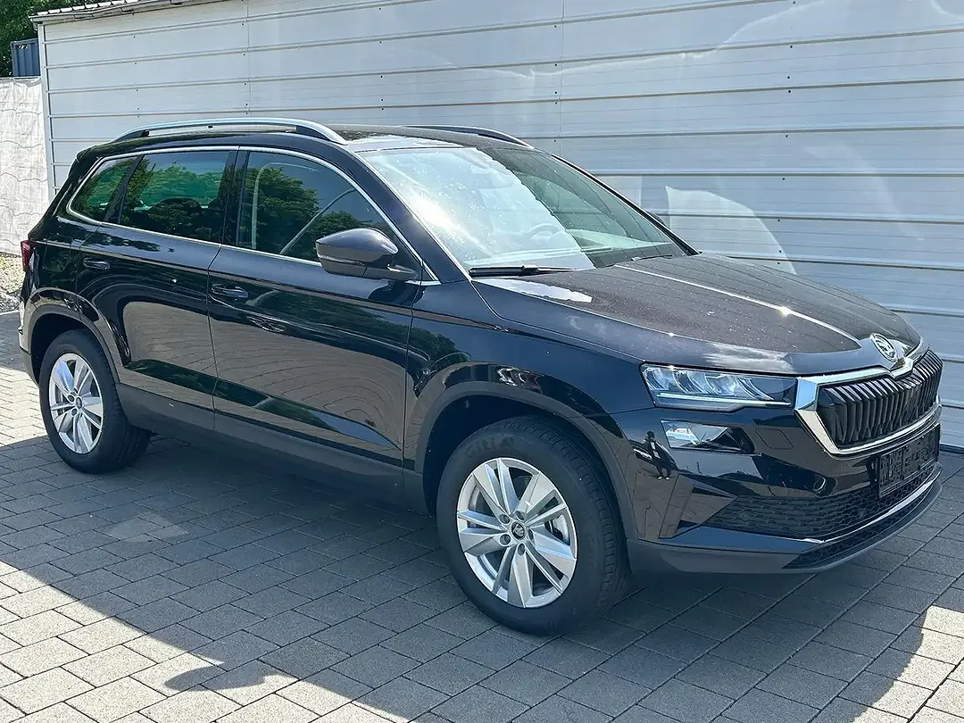 Skoda Karoq - Thumbnail 1