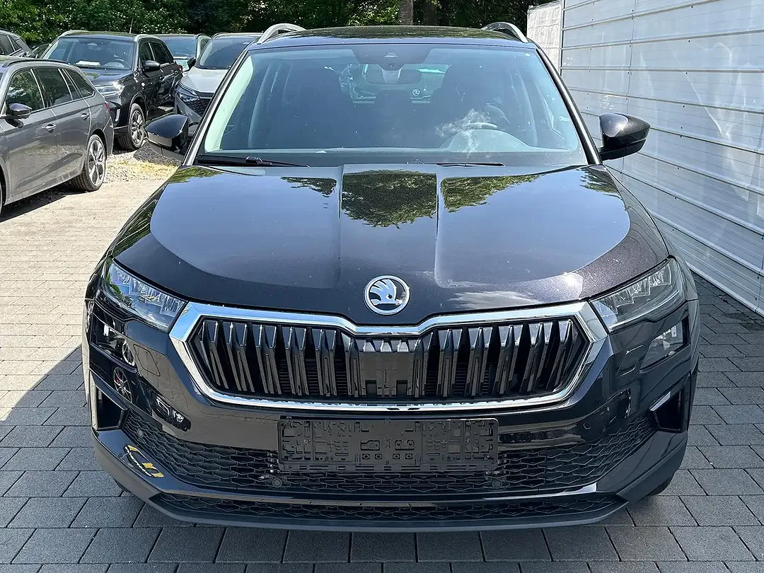 Skoda Karoq - Thumbnail 2