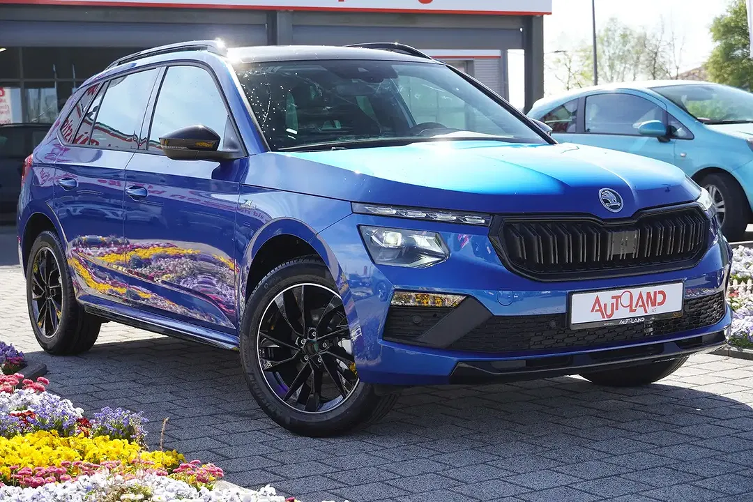 Skoda Kamiq - Thumbnail 3