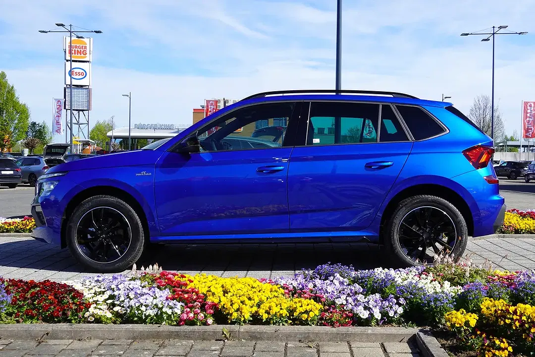 Skoda Kamiq - Thumbnail 4