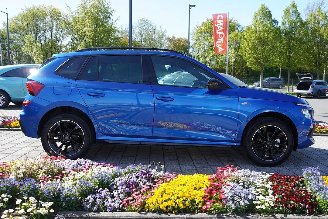 Skoda Kamiq - Thumbnail 8