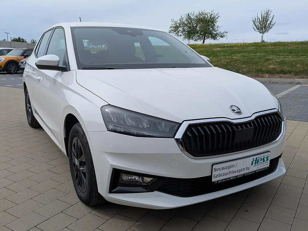 Skoda Fabia - Afbeelding 1