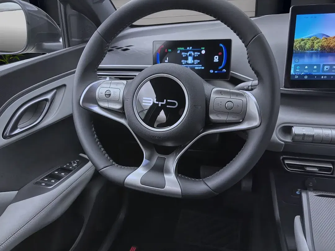 BYD Dolphin Surf - Thumbnail 12