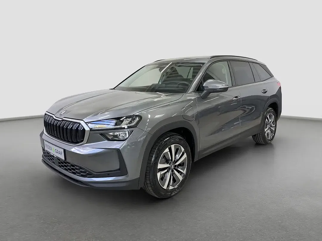 Skoda Kodiaq - Thumbnail 1