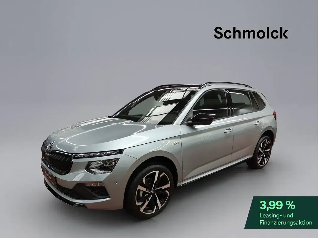 Skoda Kamiq - Thumbnail 1
