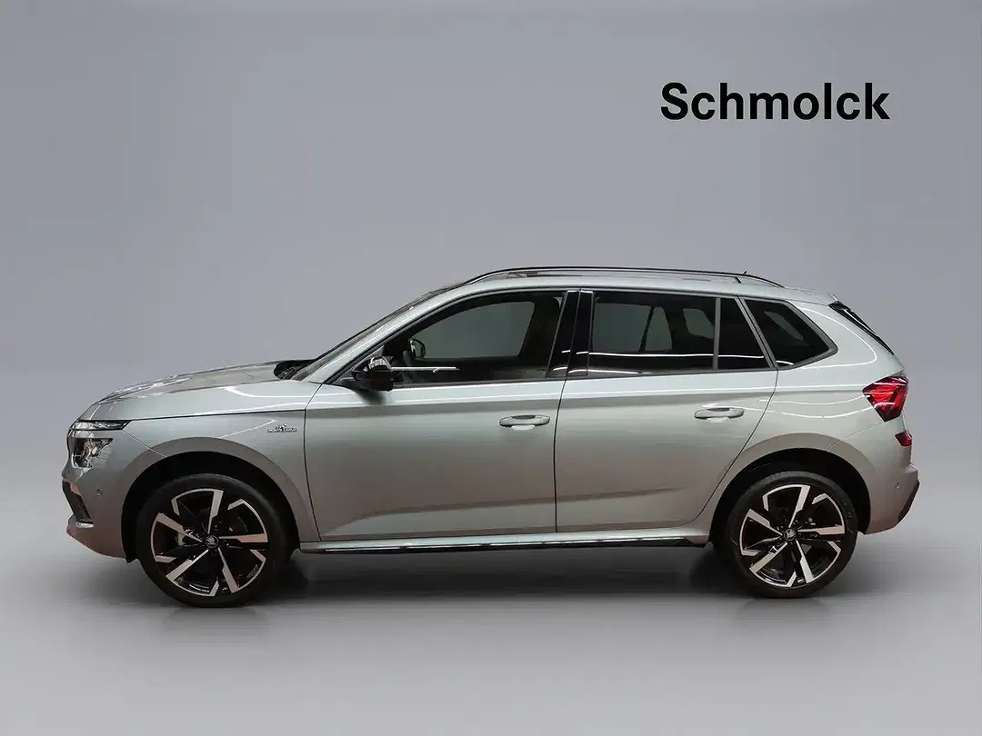 Skoda Kamiq - Thumbnail 2