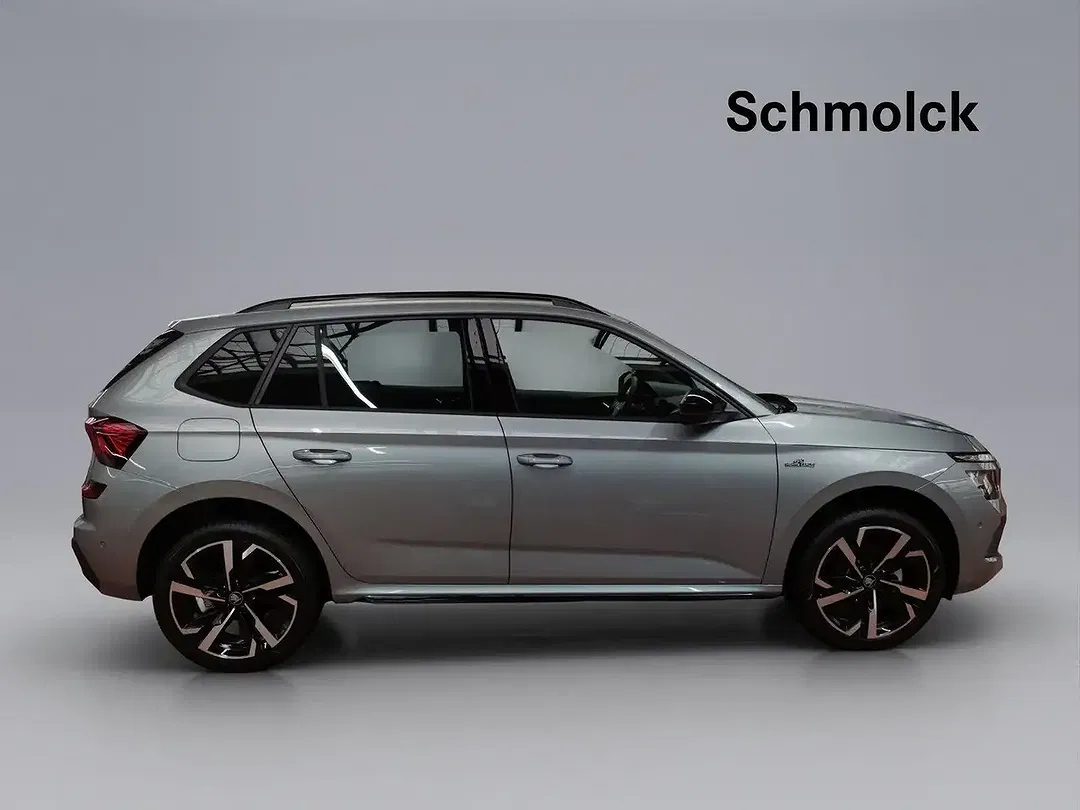 Skoda Kamiq - Thumbnail 3