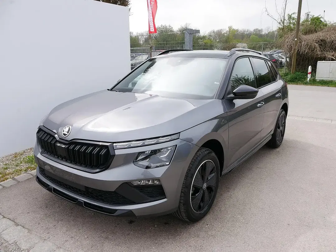 Skoda Kamiq - Thumbnail 1