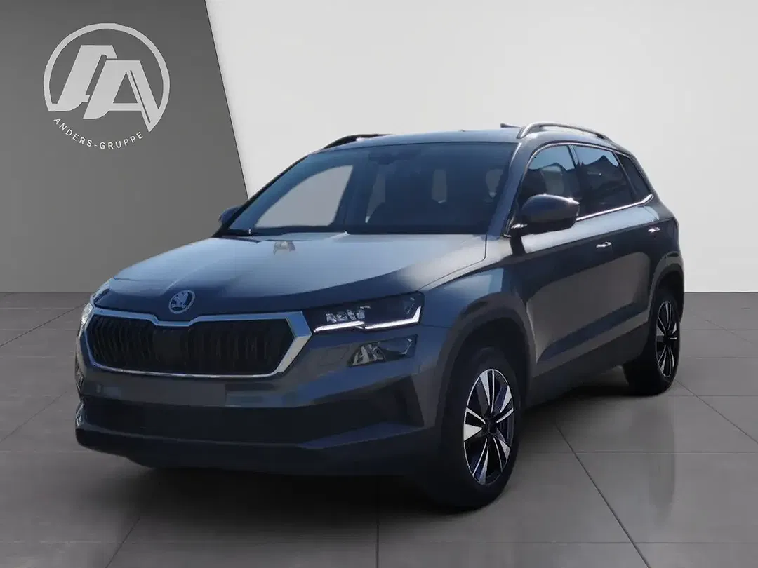 Skoda Karoq - Thumbnail 3