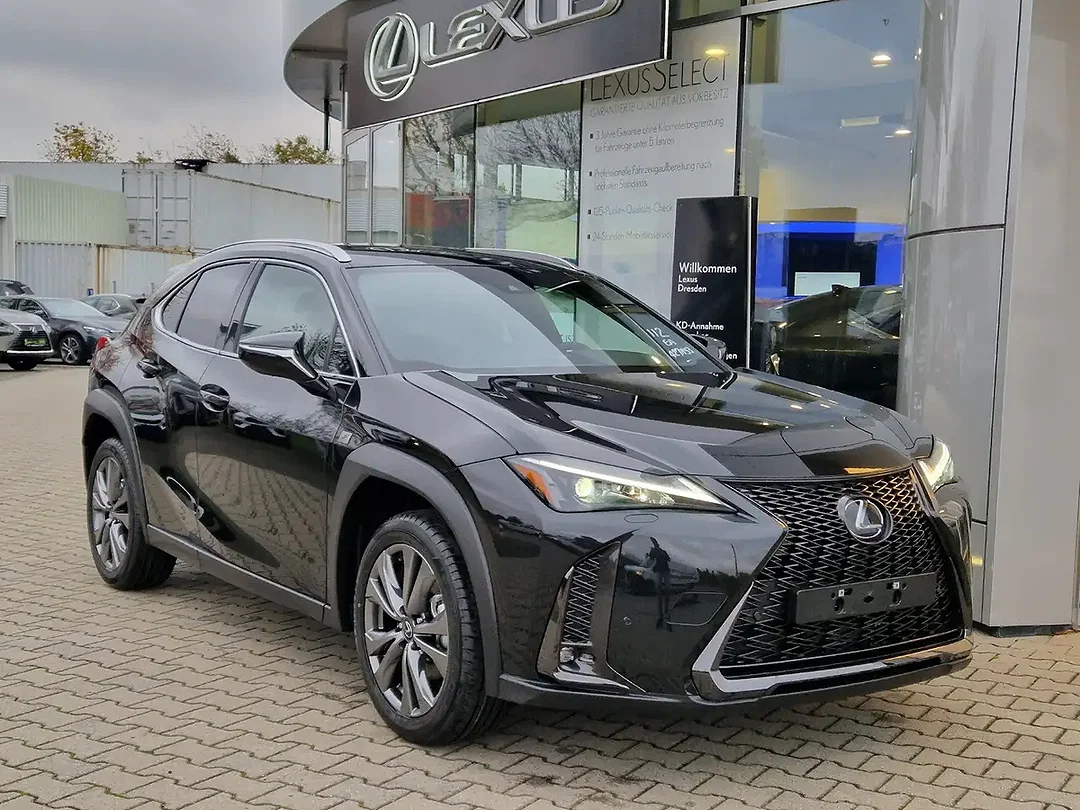 Lexus UX 300h - Afbeelding 1