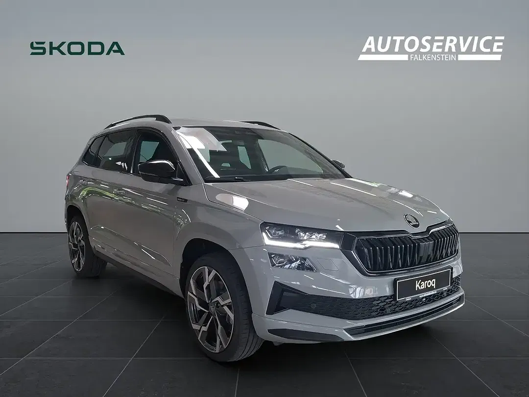 Skoda Karoq - Thumbnail 3