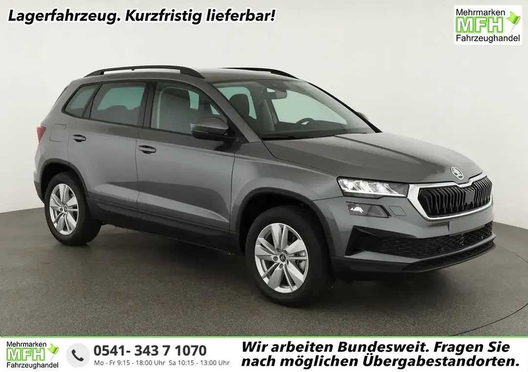 Skoda Karoq - Thumbnail 1