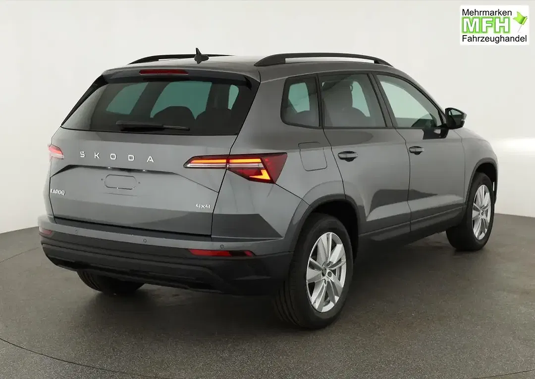 Skoda Karoq - Thumbnail 2