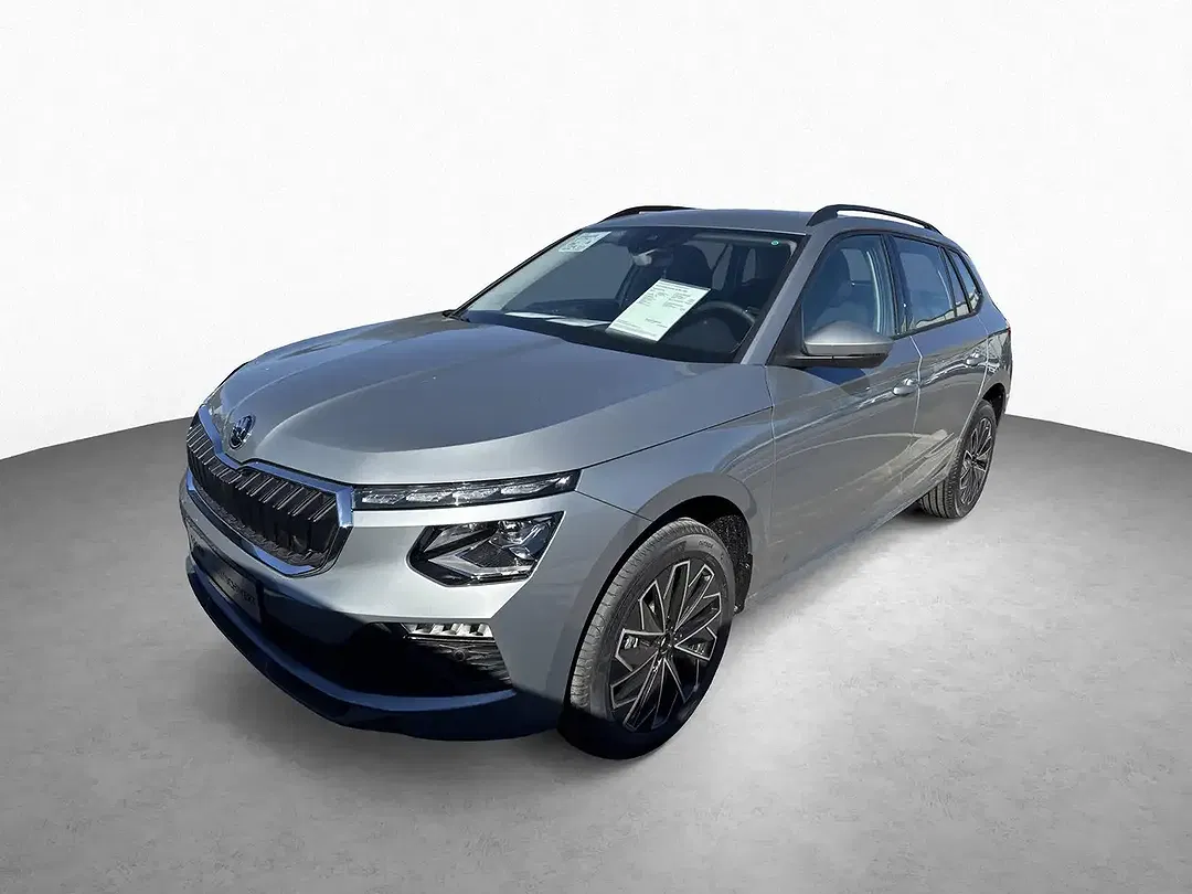 Skoda Kamiq - Thumbnail 12