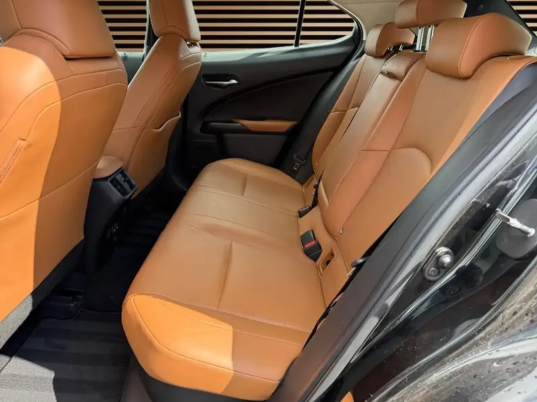 Lexus UX 250h - Thumbnail 12